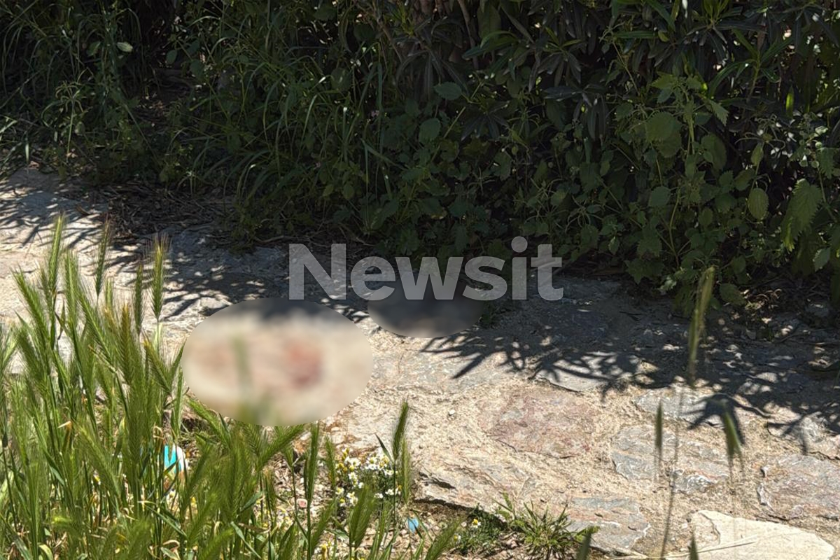 Αιματηρή συμπλοκή στον Λόφο Φιλοπάππου - Δύο τραυματίες