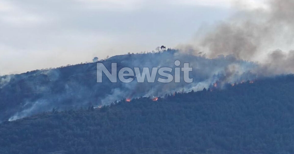 Συνελήφθη 51χρονος για τη φωτιά στην Άμπελο Αχαΐας – Σε εξέλιξη το πύρινο μέτωπο