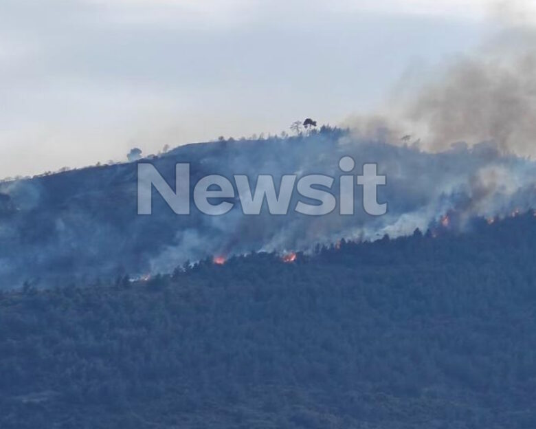 Η φωτιά όπως φαίνεται από την Ακράτα
