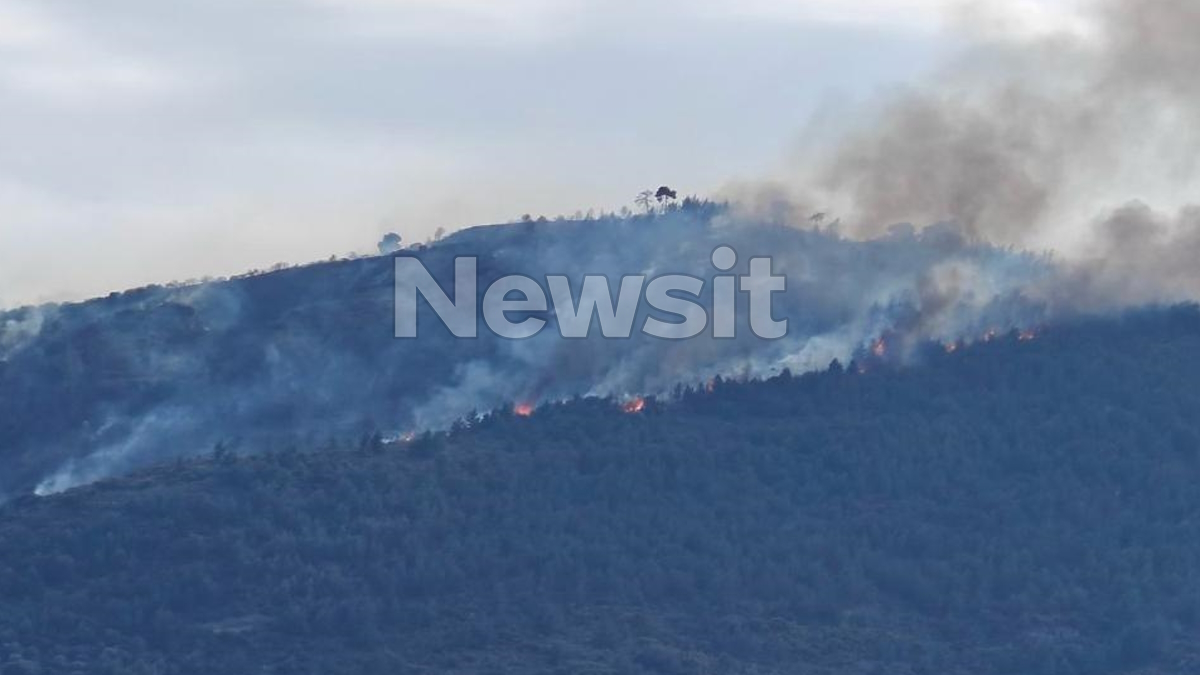 Η φωτιά όπως φαίνεται από την Ακράτα