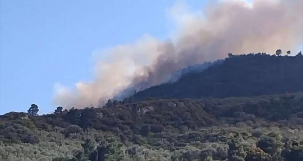 Φωτιά στην Αμπελο Αχαΐας - Στάλθηκε 112 να απομακρυνθούν προς Ακράτα