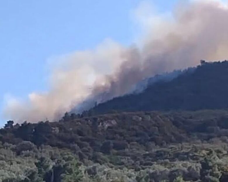 Η φωτιά στην Άμπελο