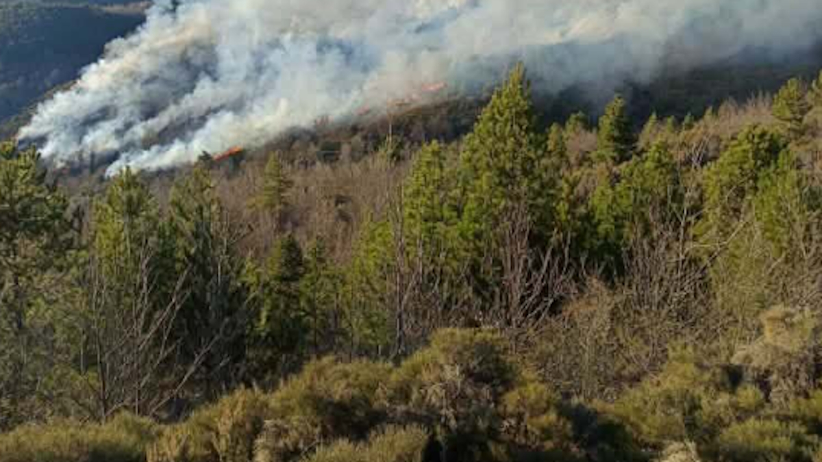 Φωτιά στη Λακωνία