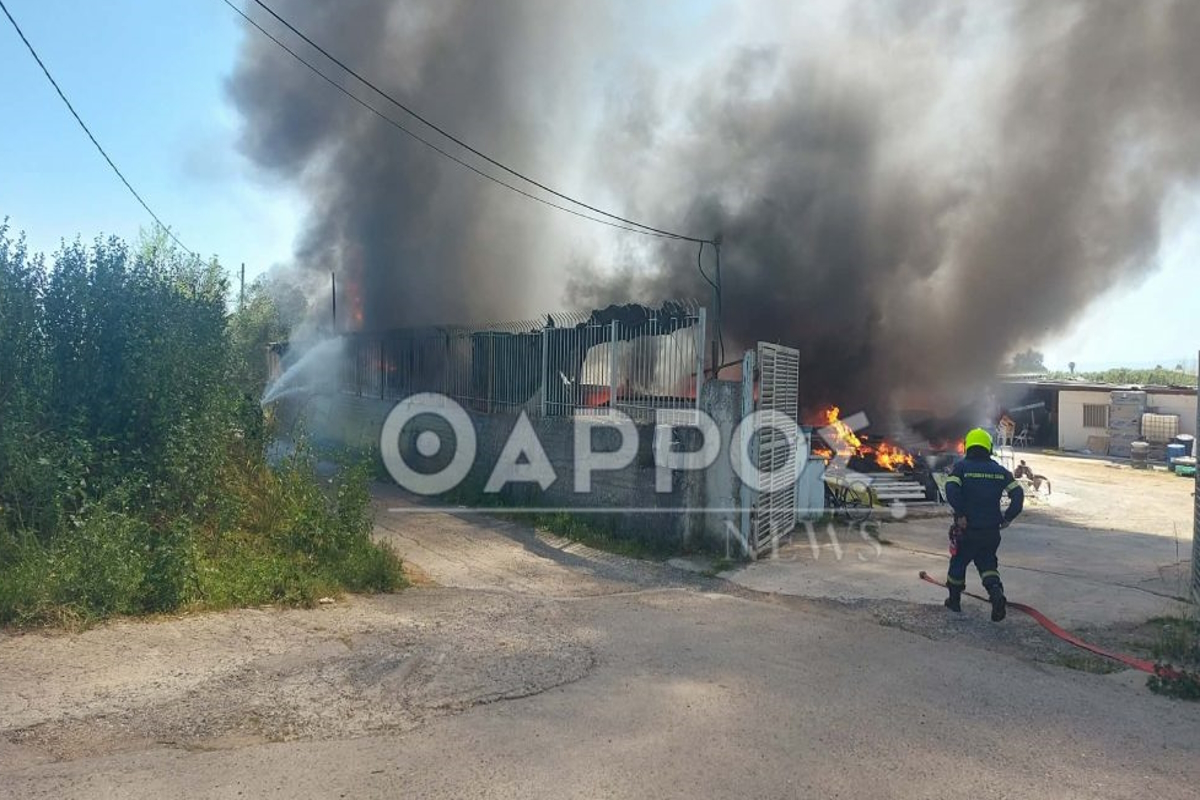 Καλαμάτα: Φωτιά σε επιχείρηση οικοδομικών υλικών και πλαστικών
