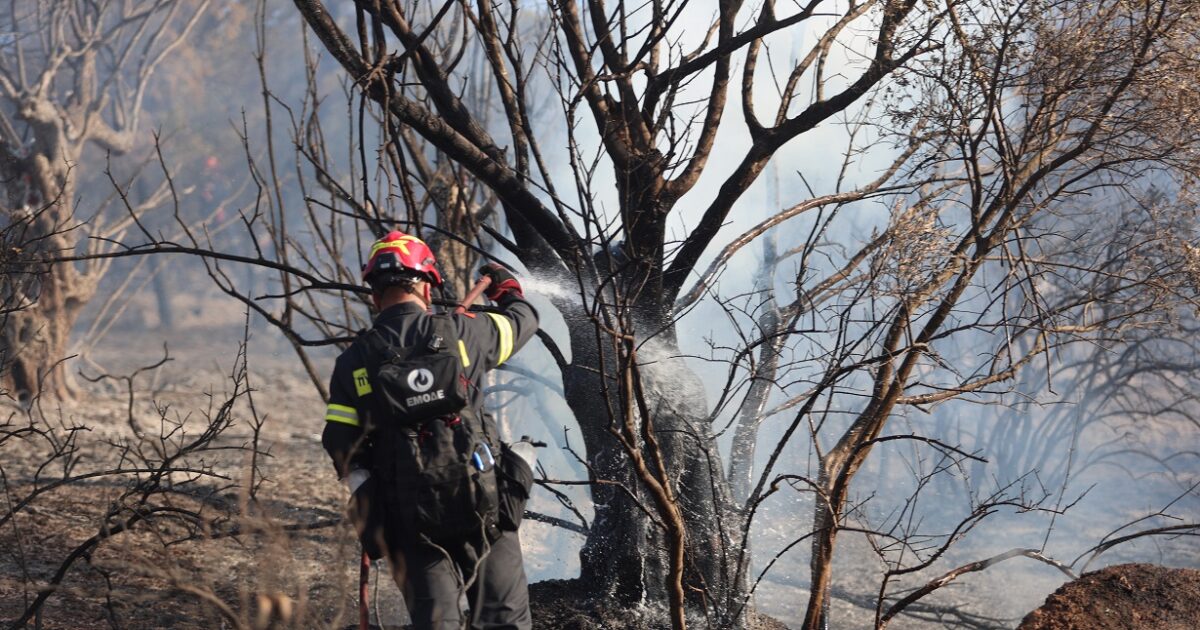 Συναγερμός στην Πολιτική Προστασία για τις 52 φωτιές μέσα στο Σαββατοκύριακο