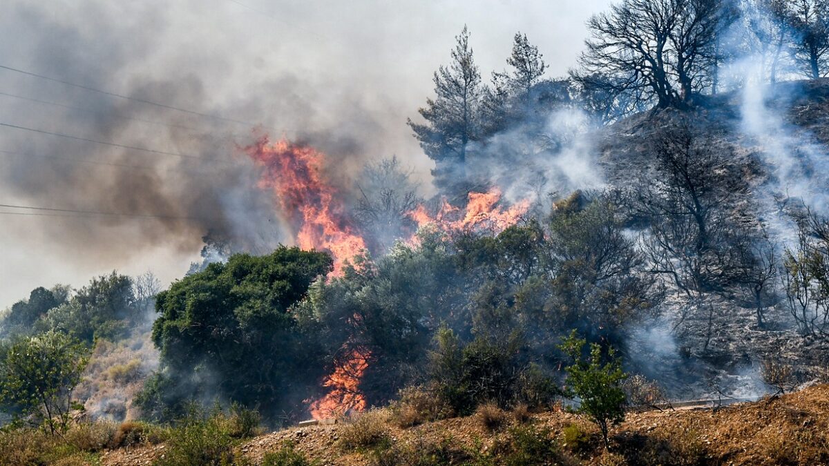 Φωτιά στην Αχαία