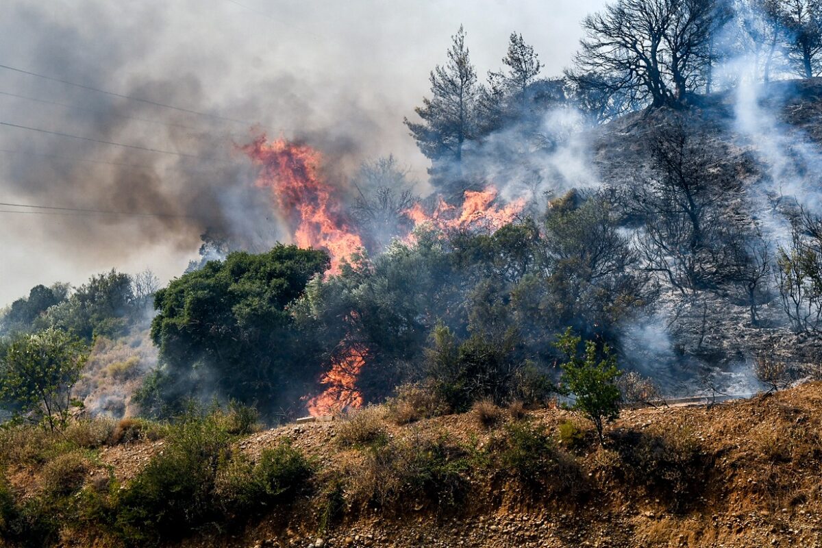 Φωτιά σε δασική έκταση στο Νεοχώρι Πηλίου - Επιχειρούν και εναέρια μέσα