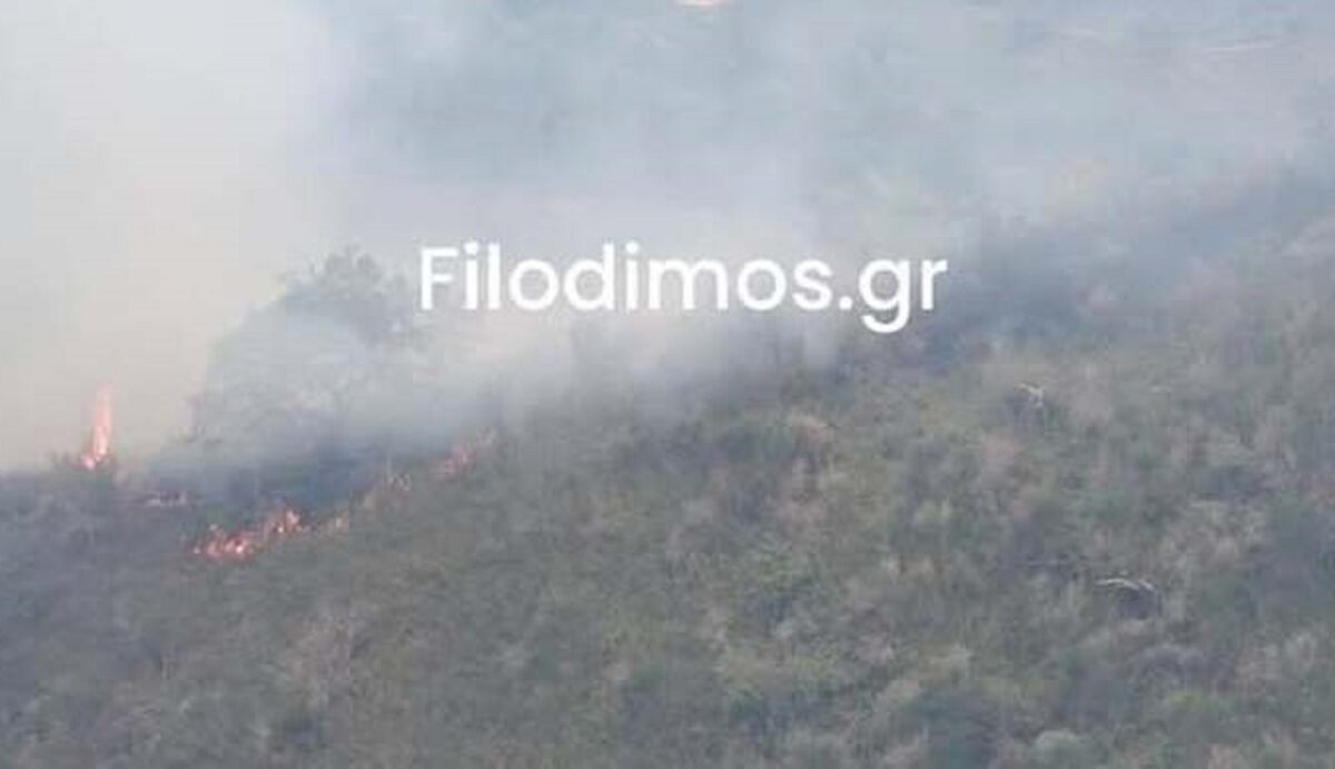 Φωτιά στο Αίγιο σε ορεινή περιοχή κοντά στο χωριό Αρραβωνίτσα