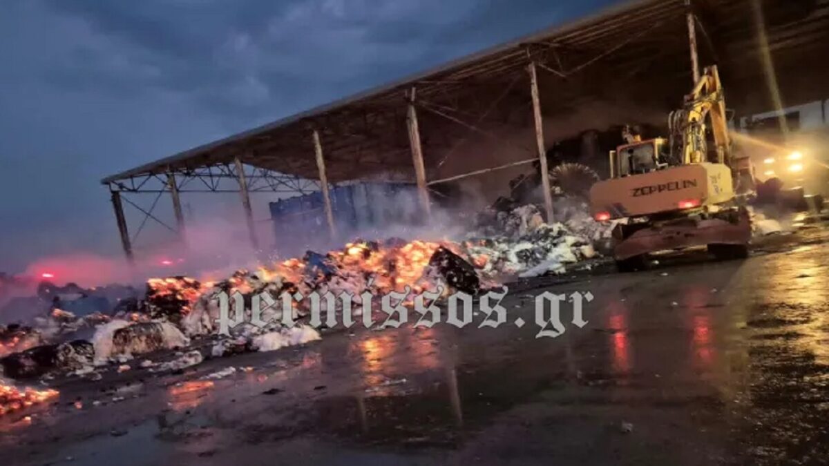 Φωτιά στον Ορχομενό