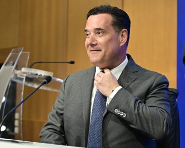 O Άδωνις Γεωργιάδης