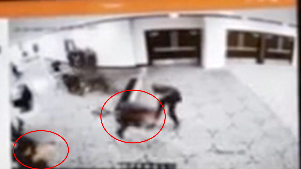 Η στιγμή που πράκτορας των Μυστικών Υπηρεσιών πυροβολεί τον δράστη Κόουλ Άλεν