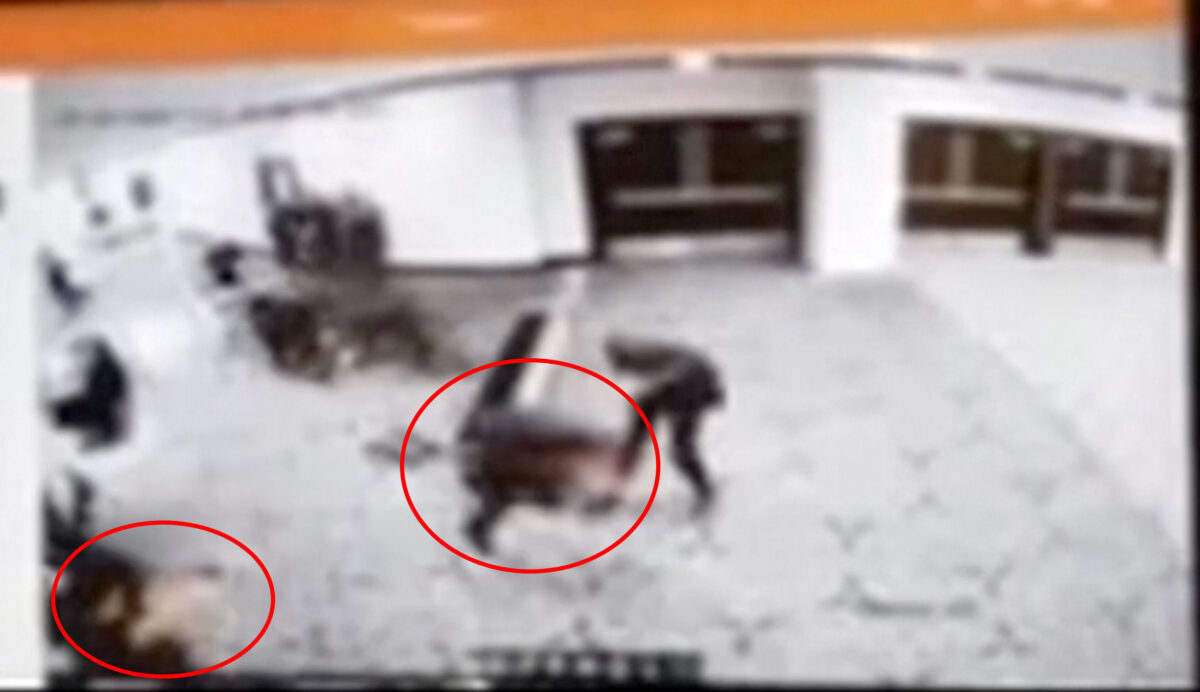 Eπίθεση στο δείπνο ανταποκριτών στον Λευκό Οίκο: Βίντεο από τη στιγμή που πράκτορας των Μυστικών Υπηρεσιών πυροβολεί τον δράστη Κόουλ Αλεν