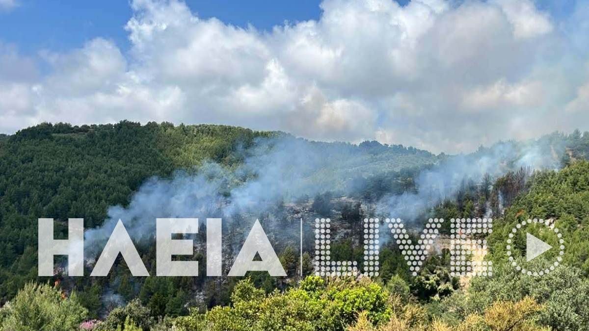 Φωτιά στην Ηλεία