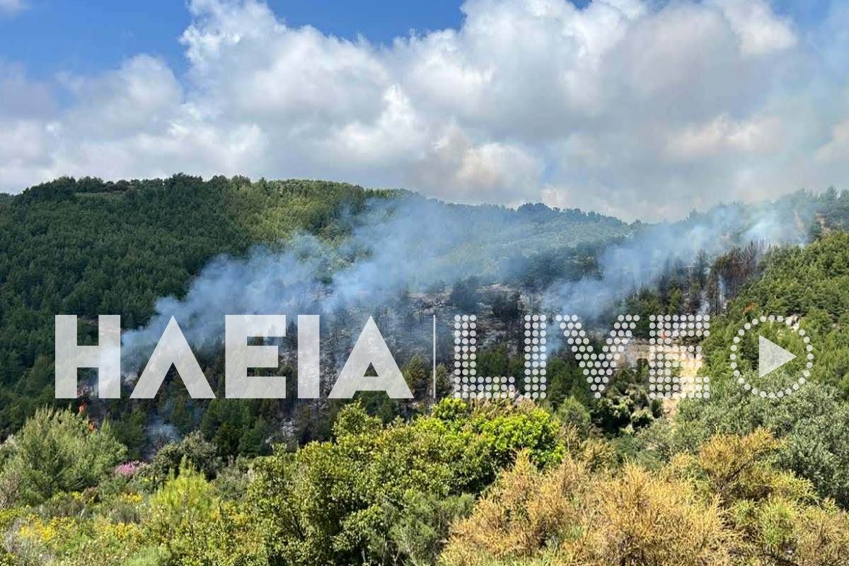 Φωτιά στην Ηλεία