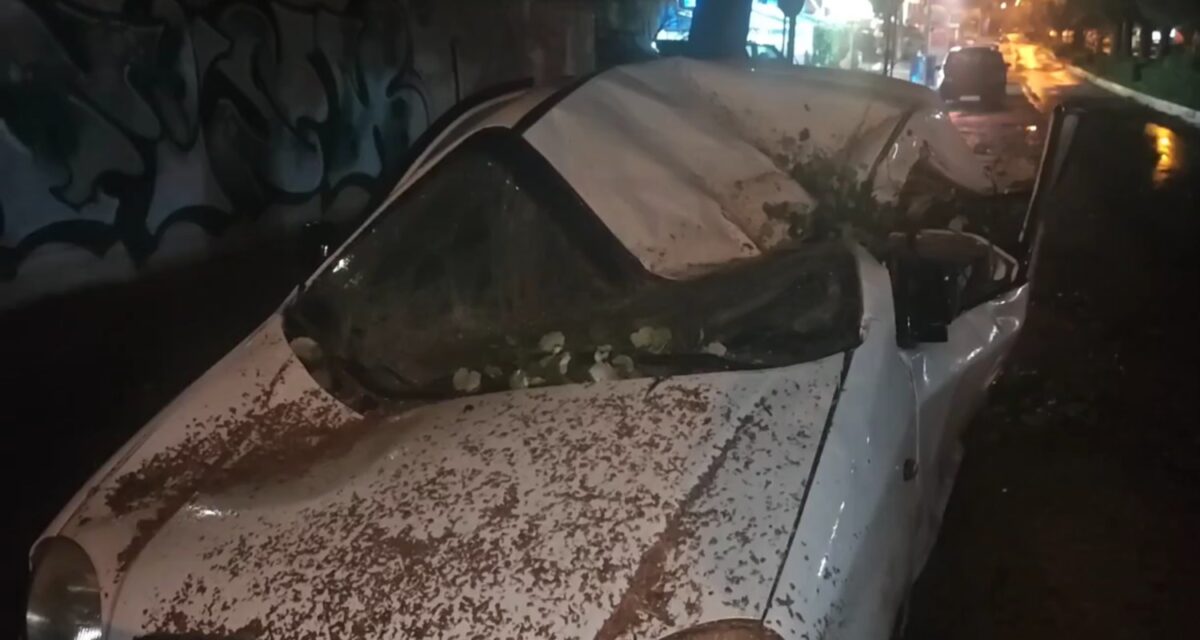 Οι ζημιές που προκάλεσε η πτώση δέντρου στην Ηλιούπολη