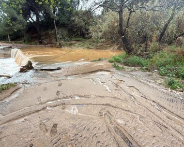 Προβλήματα στο Πικέρμι