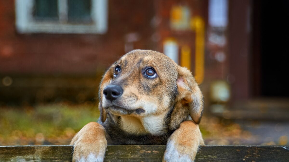 Πηγή φωτό: iStock