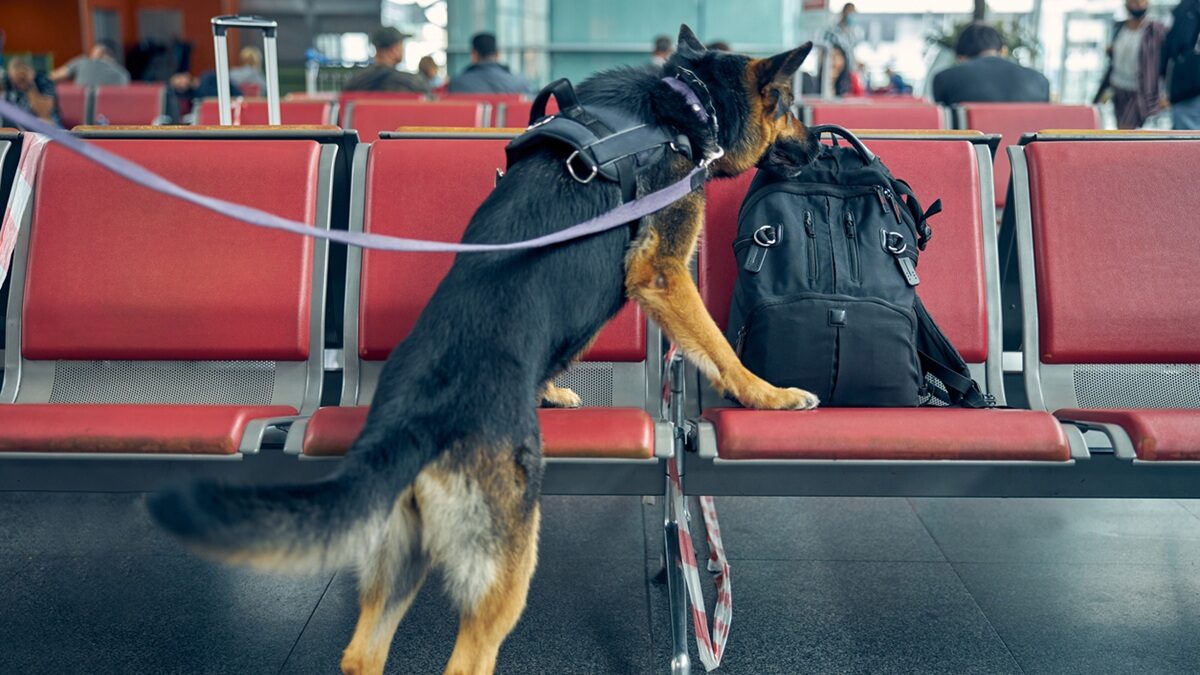 Πηγή φωτό: iStock