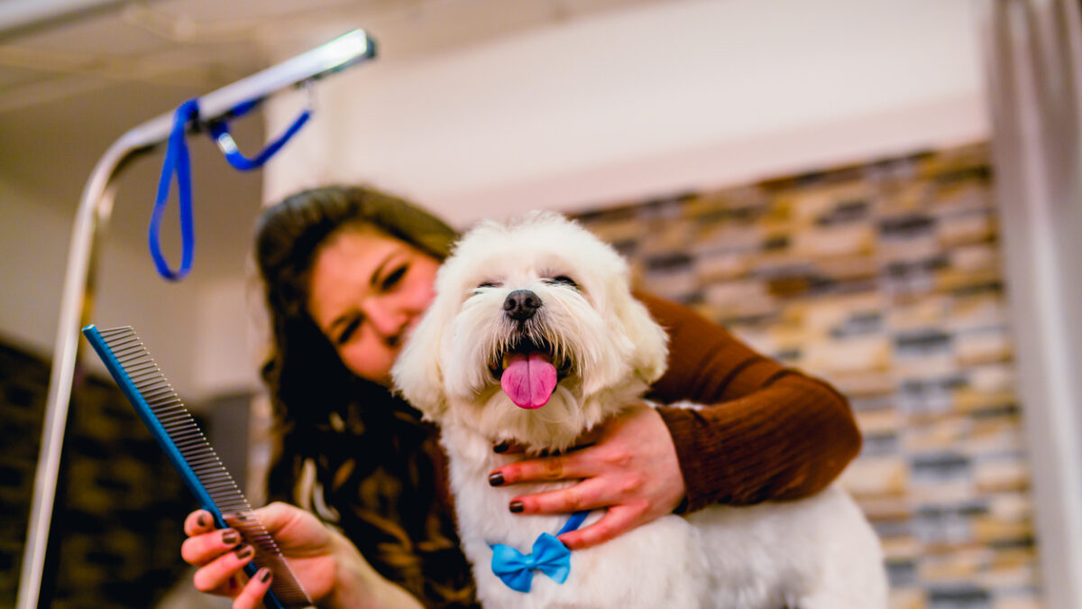 Πηγή φωτό: iStock