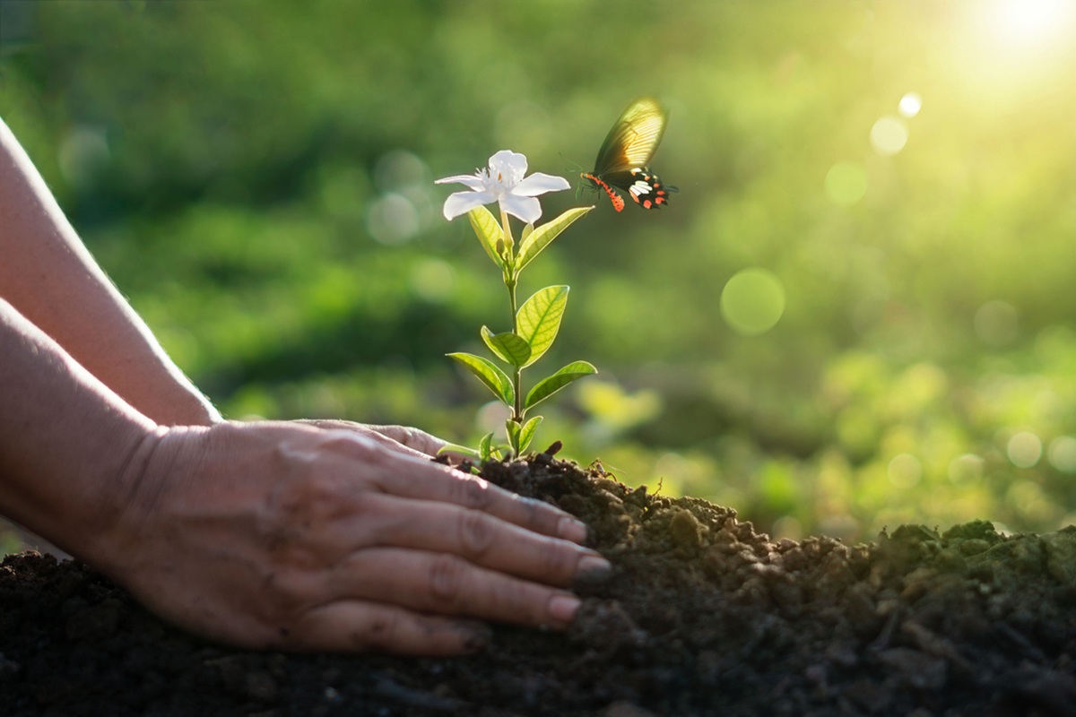 Ημέρα της Γης 2026: 5 πράγματα που ίσως δεν γνωρίζετε για την κλιματική αλλαγή