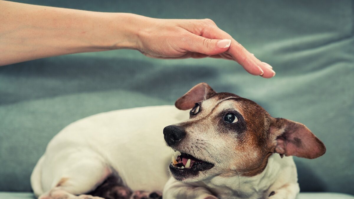 Πηγή φωτό: iStock