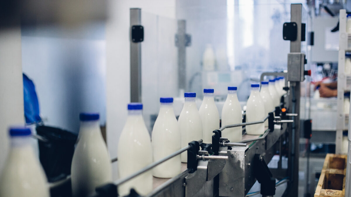 A selective focus shot of complete milk bottling line in a factory