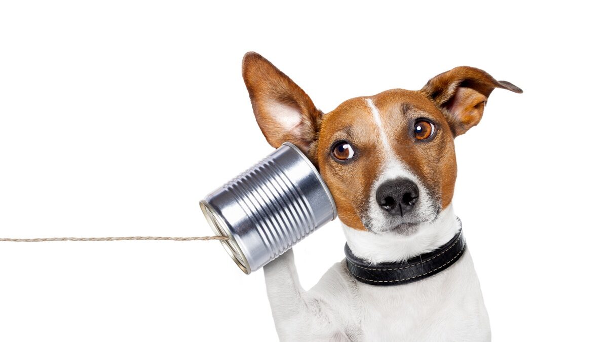 Πηγή φωτό: iStock