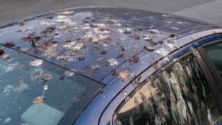 Πηγή φωτό: iStock