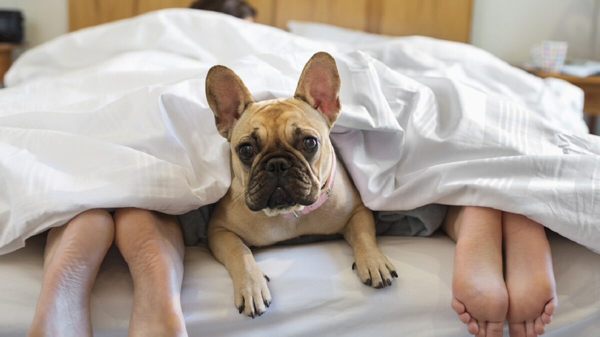 Πηγή φωτό: iStock