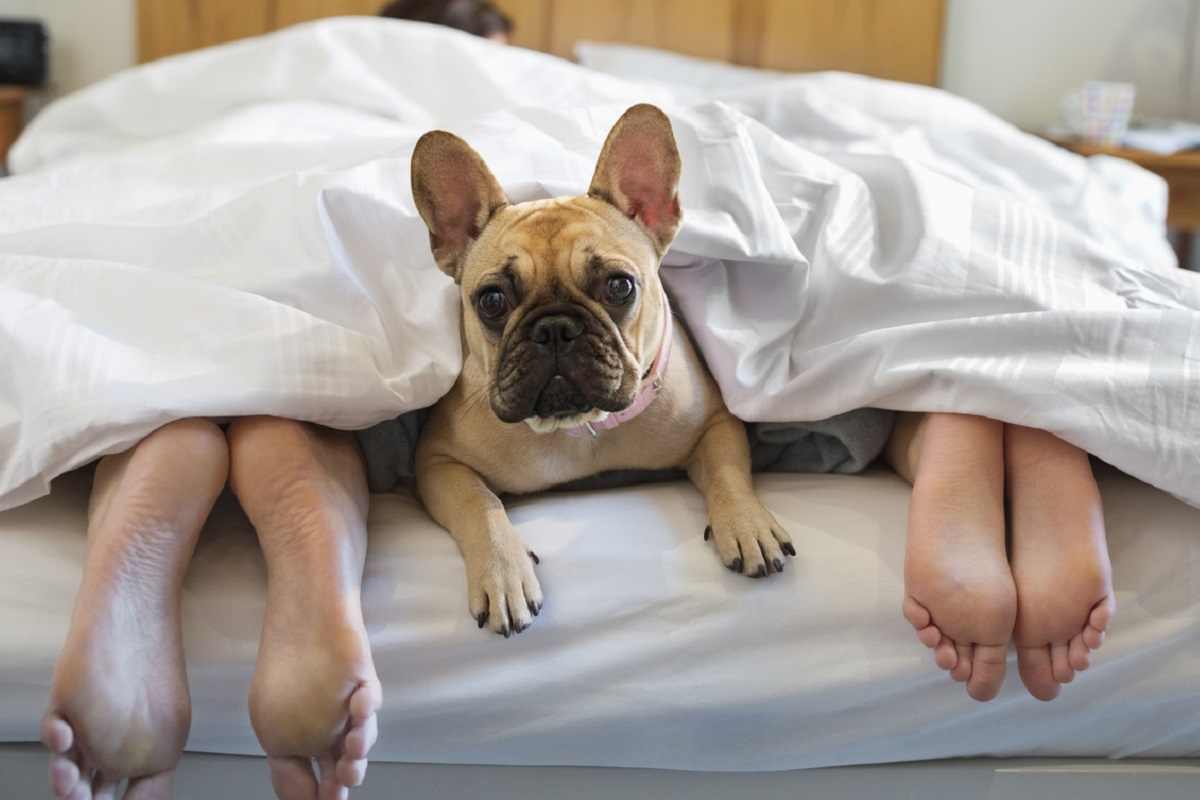 Πηγή φωτό: iStock