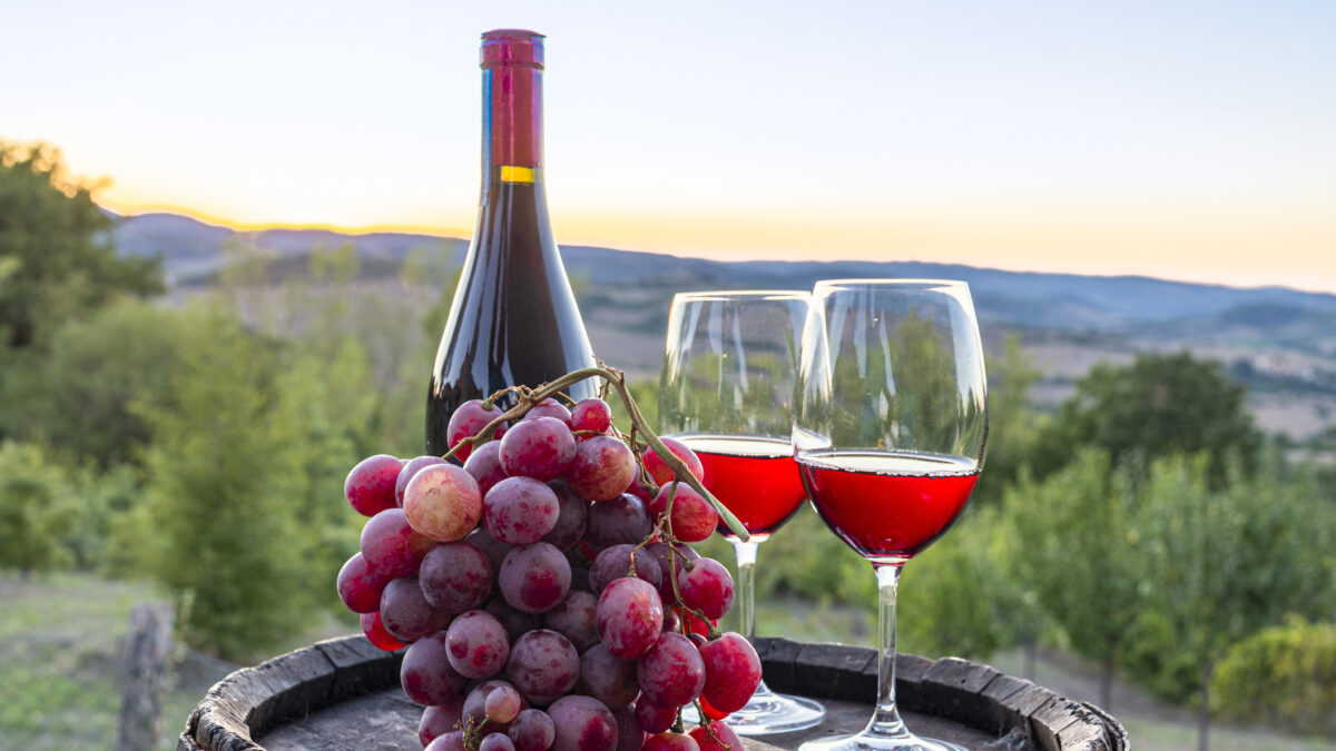 Tasting of rosé wine in the vineyard, with glasses and bottle on a barrel