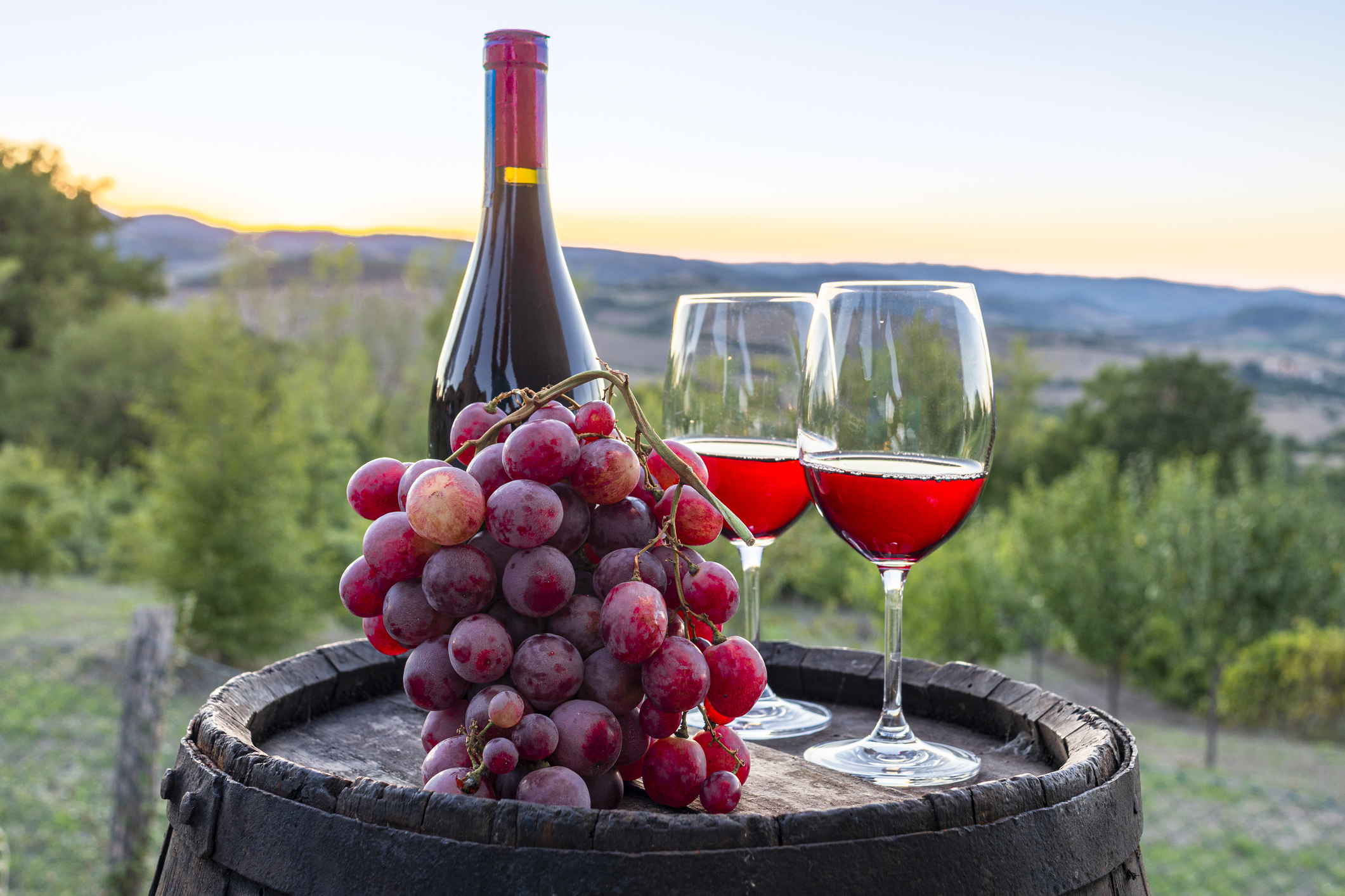 Tasting of rosé wine in the vineyard, with glasses and bottle on a barrel