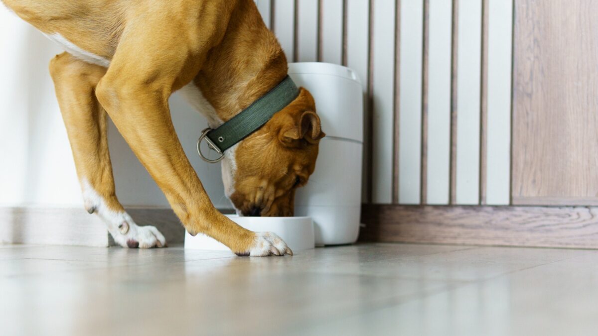 Πηγή φωτό: iStock