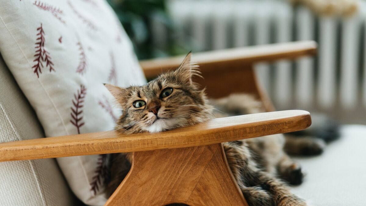 Πηγή φωτό: iStock