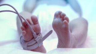 Feet of new born baby under ultraviolet lamp in the incubator