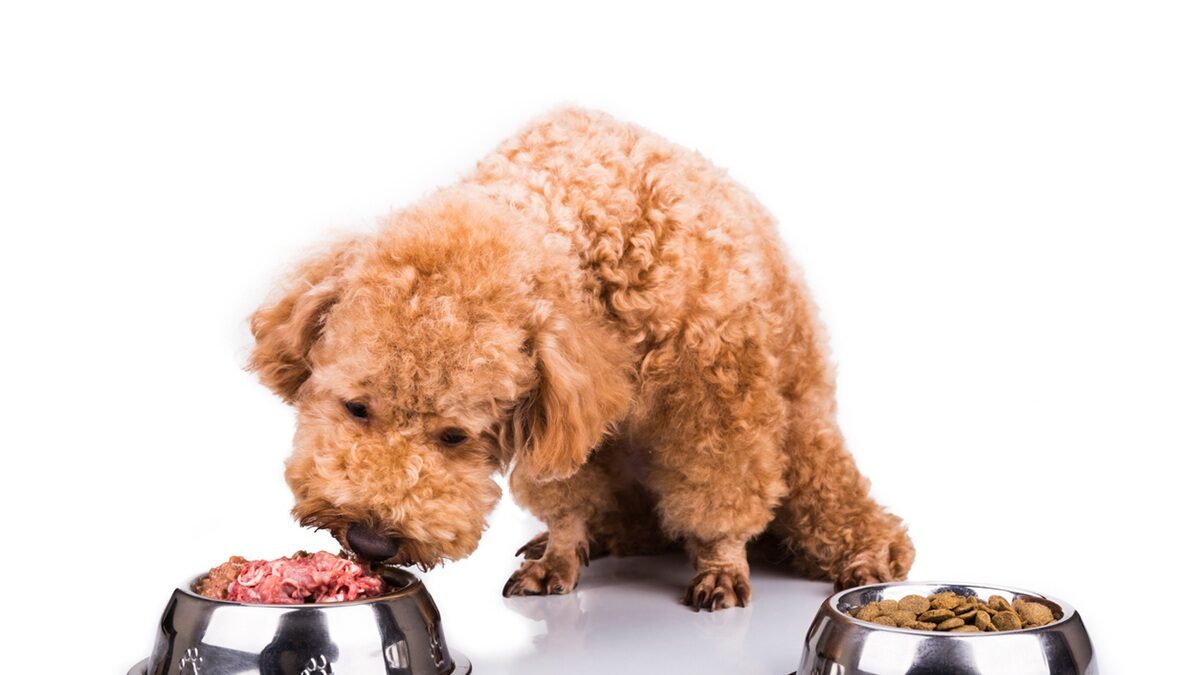 Πηγή φωτό: iStock