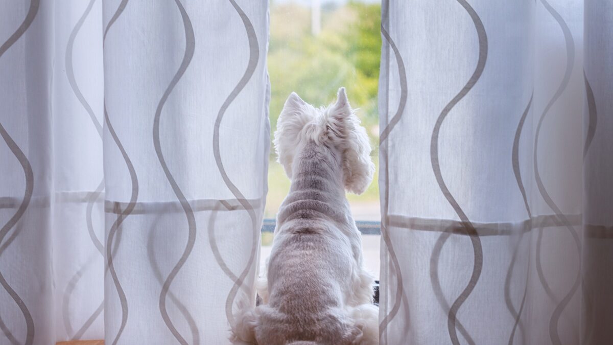 Πηγή φωτό: iStock