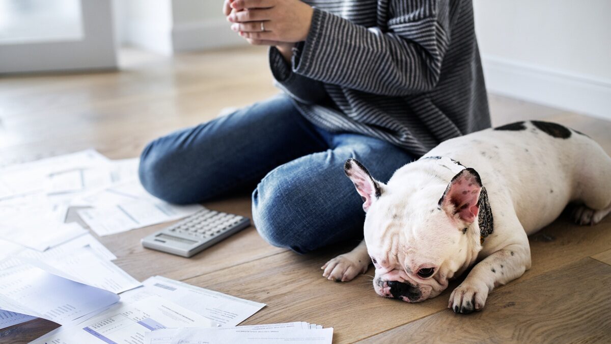 Πηγή φωτό:  iStock