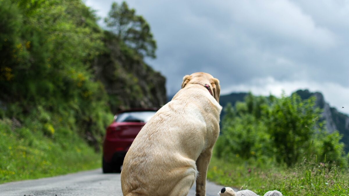 Πηγή φωτό: iStock