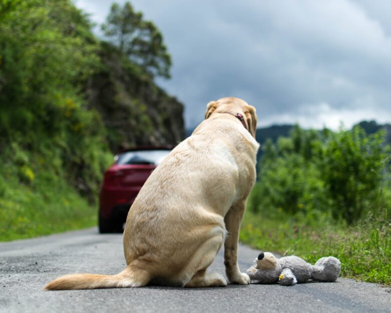 Πηγή φωτό: iStock