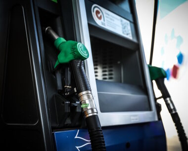 ΔΑΝΑΗ ΔΑΥΛΟΠΟΥΛΟΥ