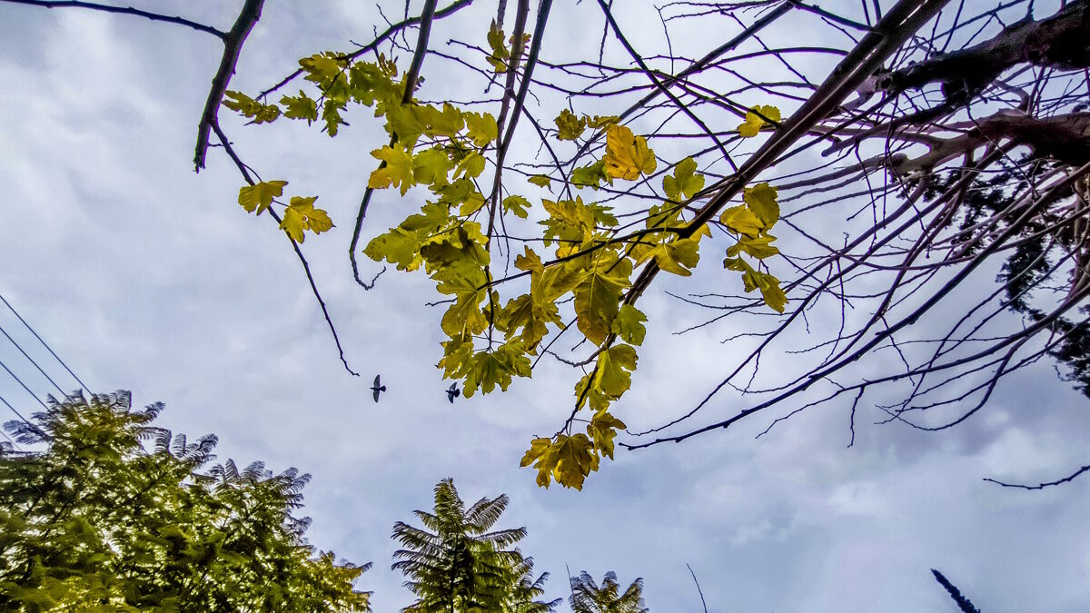 Καιρός σήμερα: Ηλιοφάνεια με λίγη συννεφιά στις περισσότερες περιοχές – Βροχές σε Μακεδονία και Θράκη