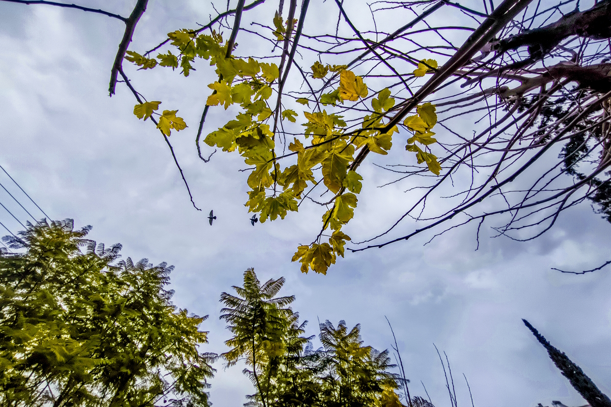 Καιρός σήμερα: Ηλιοφάνεια με λίγη συννεφιά στις περισσότερες περιοχές - Βροχές σε Μακεδονία και Θράκη