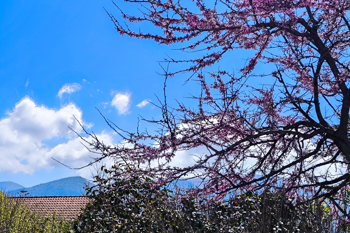 Καιρός αύριο: Ηλιοφάνεια σε όλη τη χώρα - Πιθανές βροχές και καταιγίδες στα δυτικά ορεινά