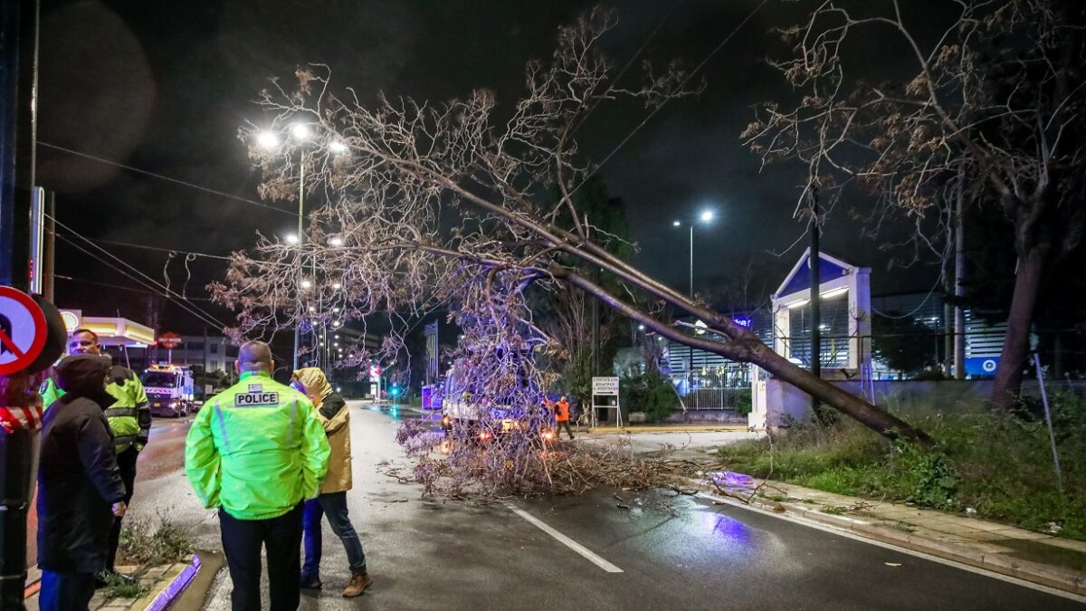 Πτώση δέντρου στην Πειραιώς
