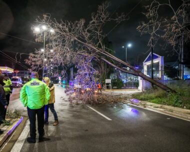 Πτώση δέντρου στην Πειραιώς