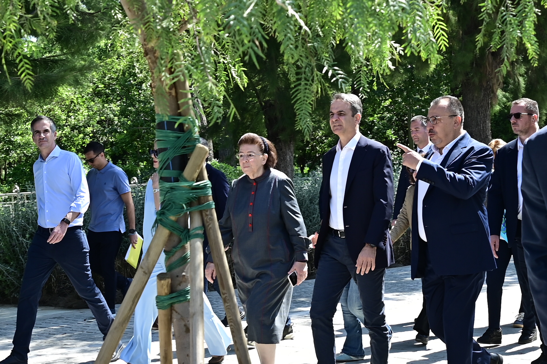 Κυριάκος Μητσοτάκης, Βασιλίσσης Όλγας 