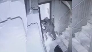 Αστυνομικός εκτός υπηρεσίας απέτρεψε ληστεία στον Κολωνό