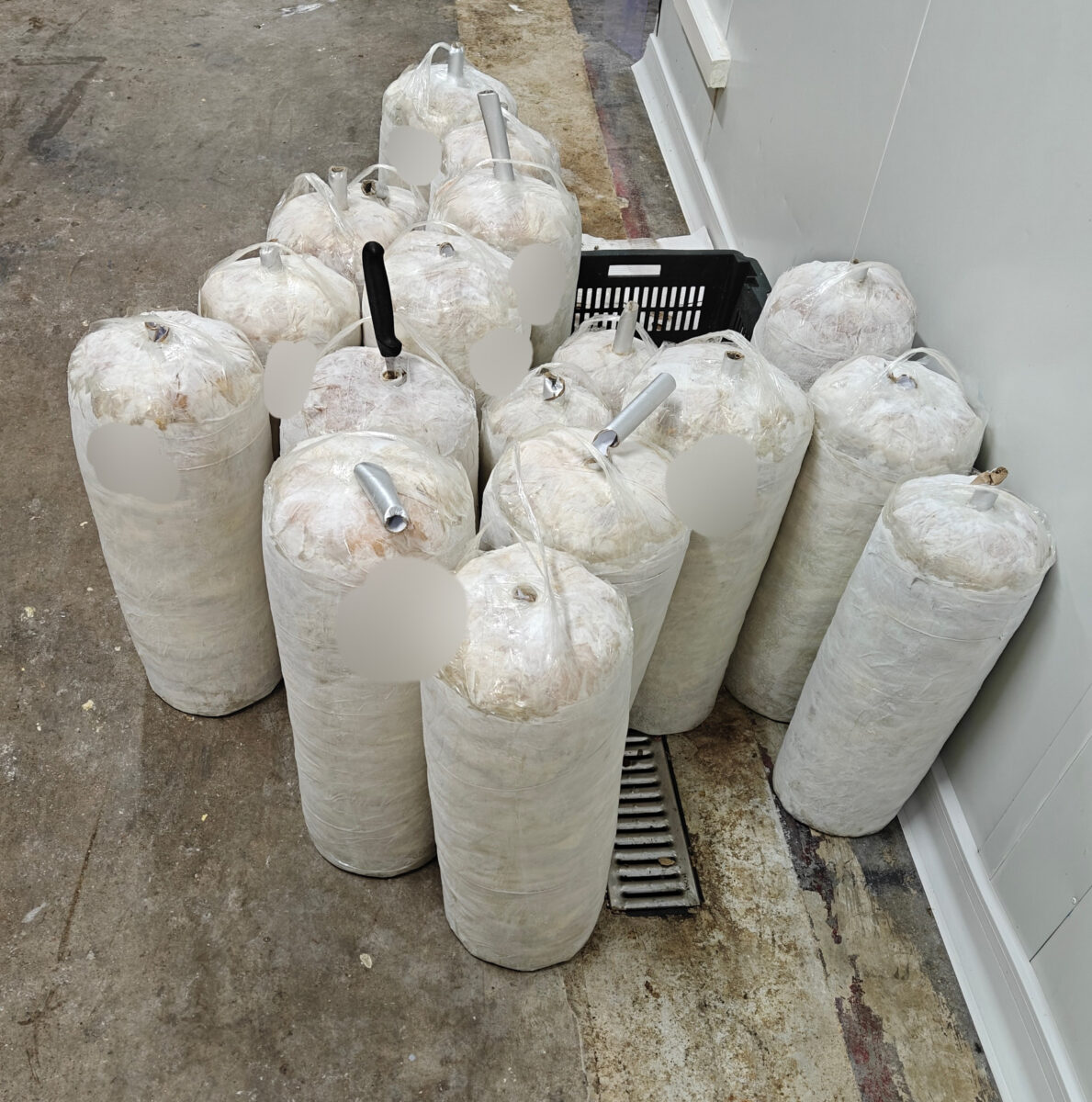 ΓΡ. ΤΥΠΟΥ ΠΕΡΙΦΕΡΕΙΑΣ ΑΤΤΙΚΗΣ