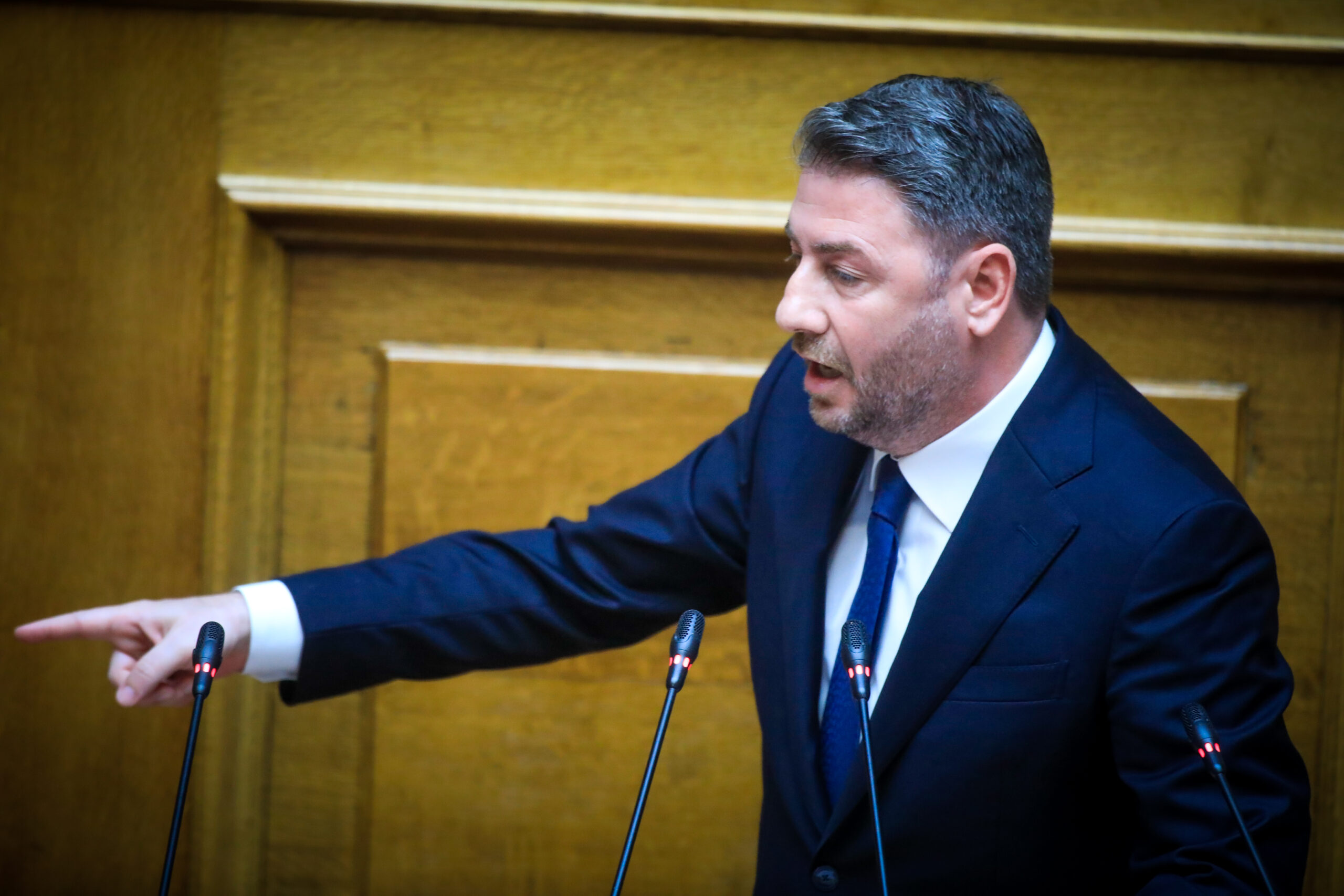 Νίκος Ανδρουλάκης